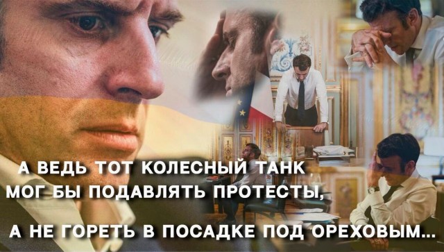 Они совершенно не опасны