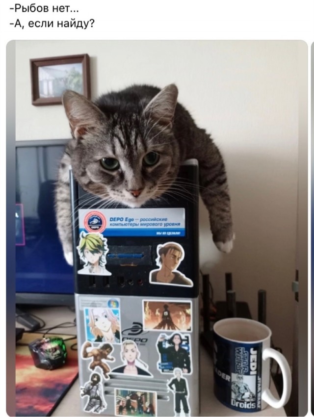 Не только котовторник, а еще и Всемирный день кошек!