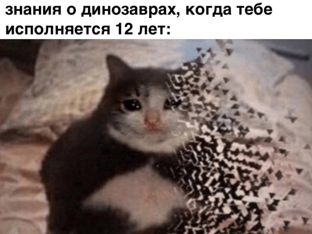Отряд быстрого деградирования