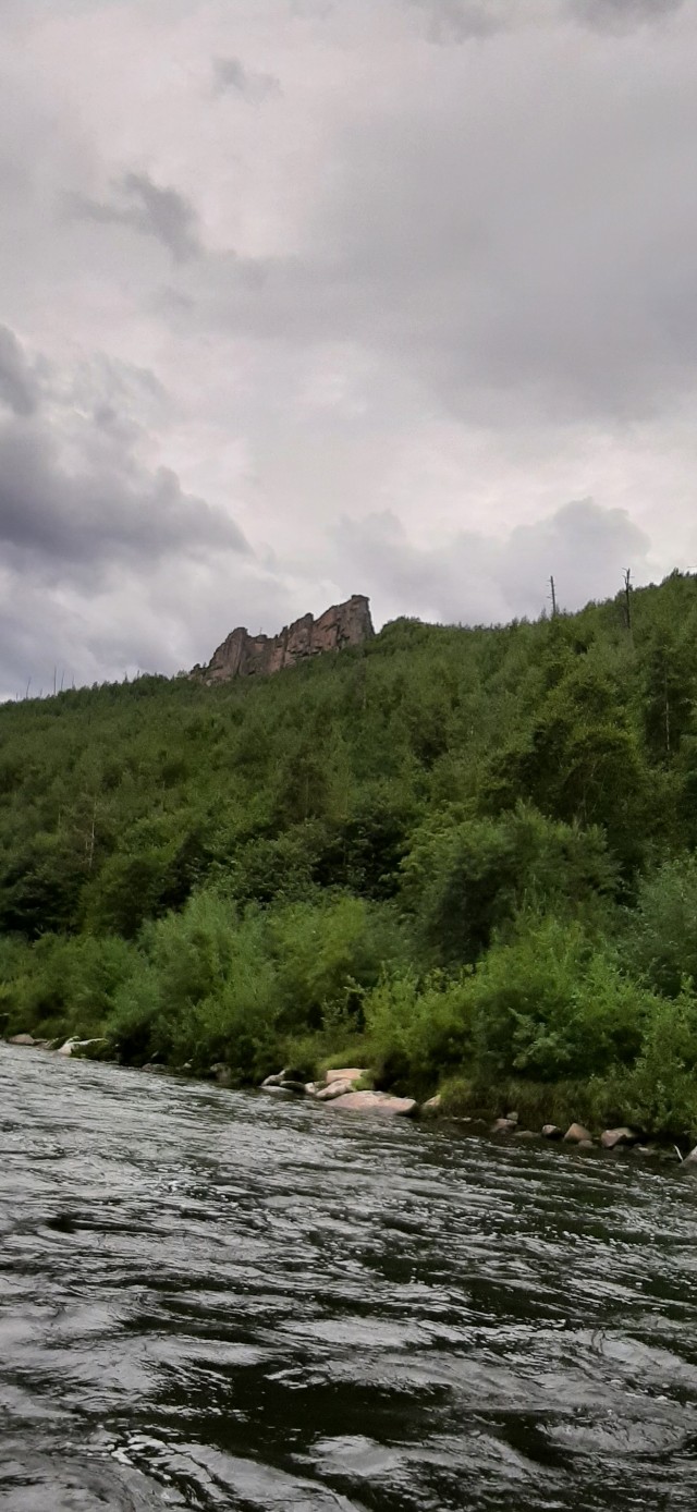 "Планета тайга"