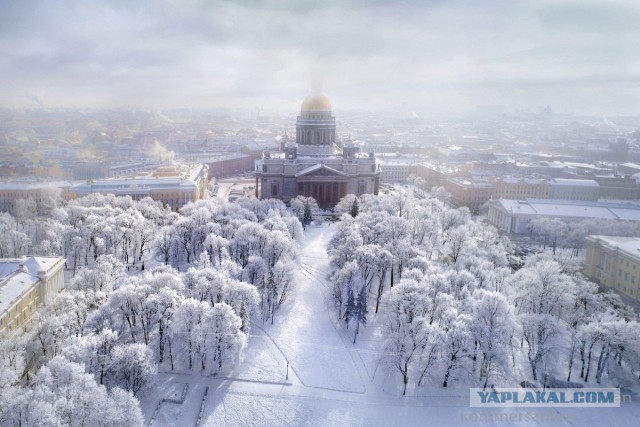 Мороз - лучший художник
