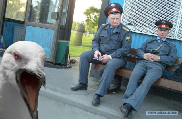 Три товарища