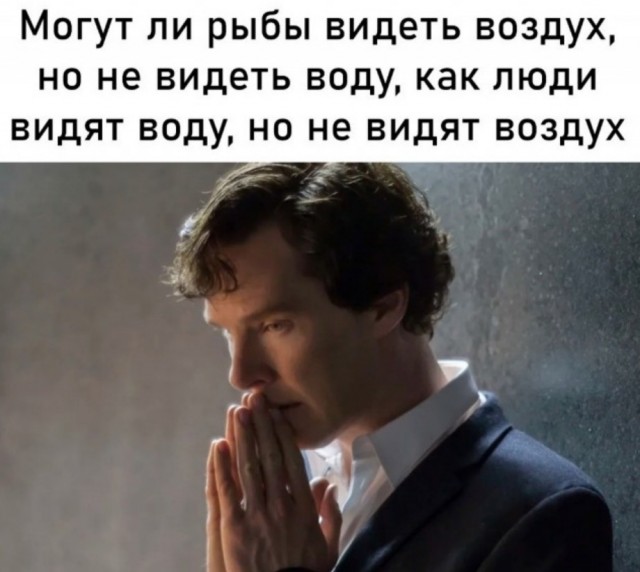 Весёлый полтишок 18.01.24