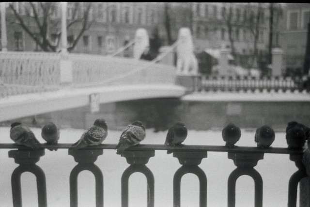 ФотоВинегрет