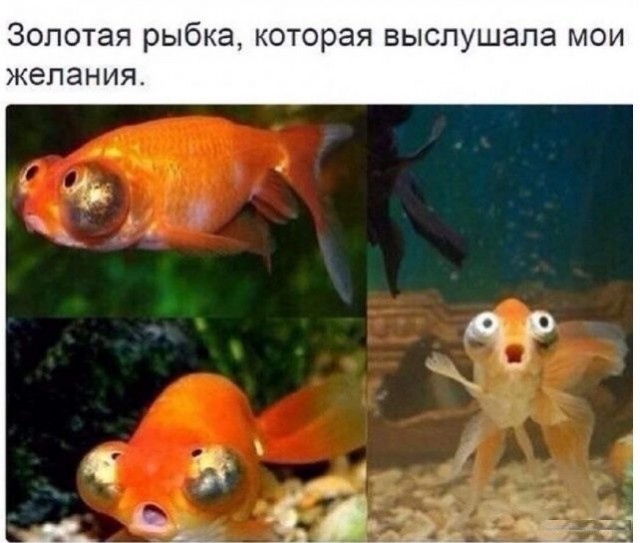 Тлидцать тли от 1 маЛта