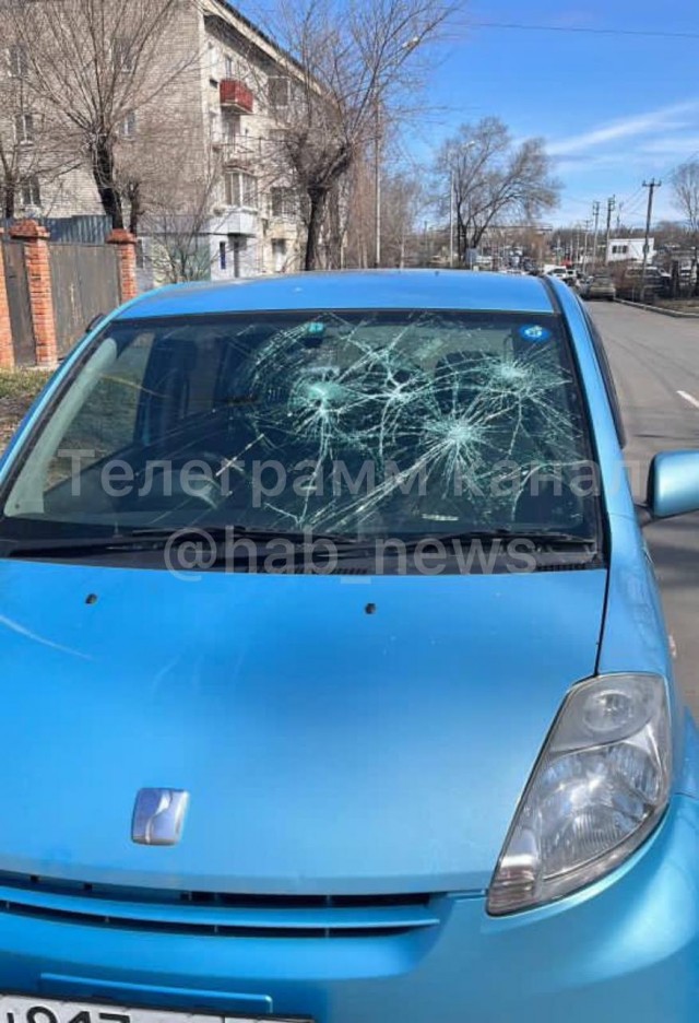 В Хабаровске неадекватная женщина закидала камнями машину