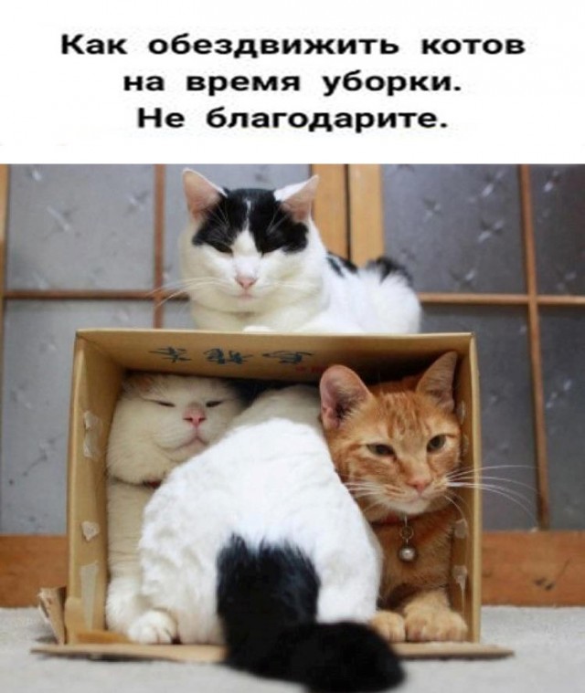 Так себе картинки 04.06.24