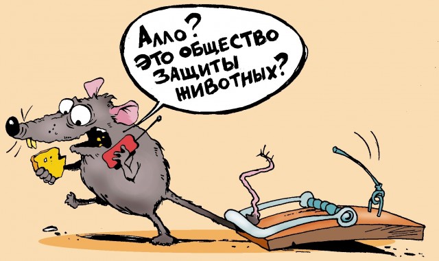 Пельмешек налепила