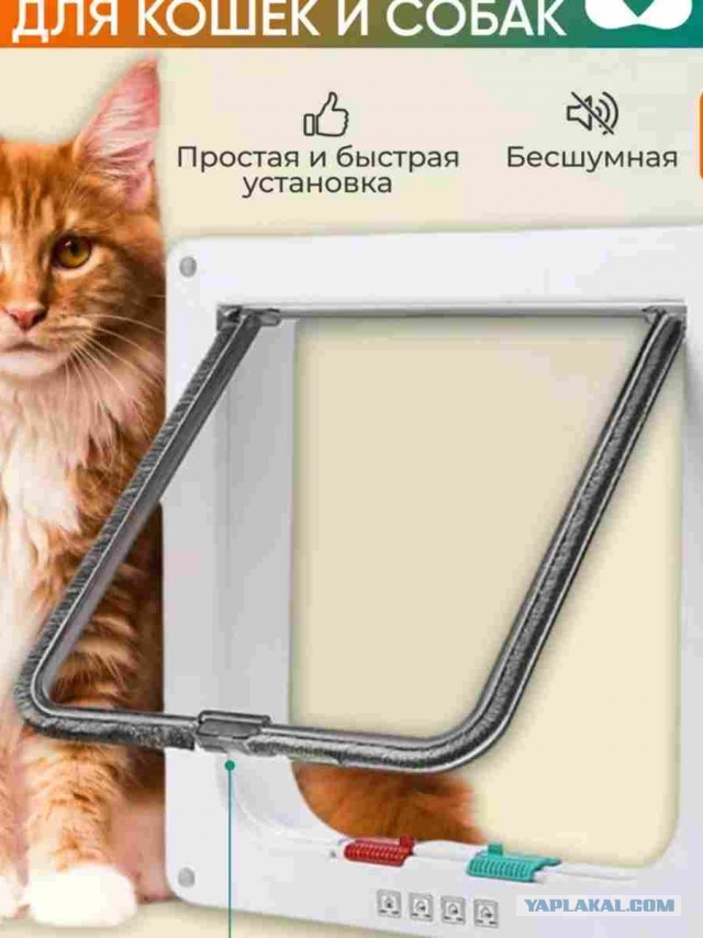 Первый кусь!
