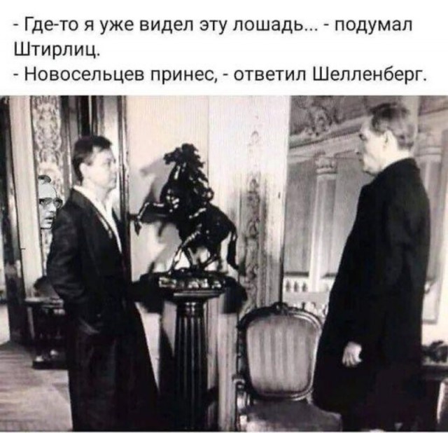Сравниваем квартиры Калугиной и Самохвалова