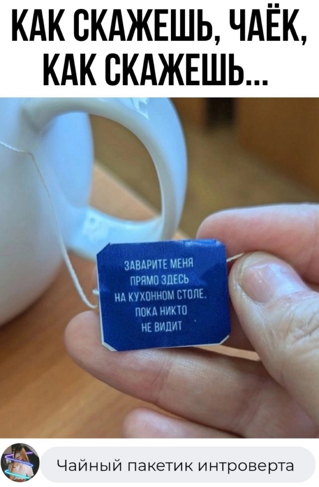 Нуштош 13.12.2024