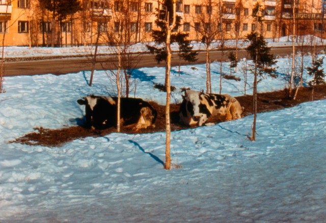 Советские слайды конца 1980-х годов