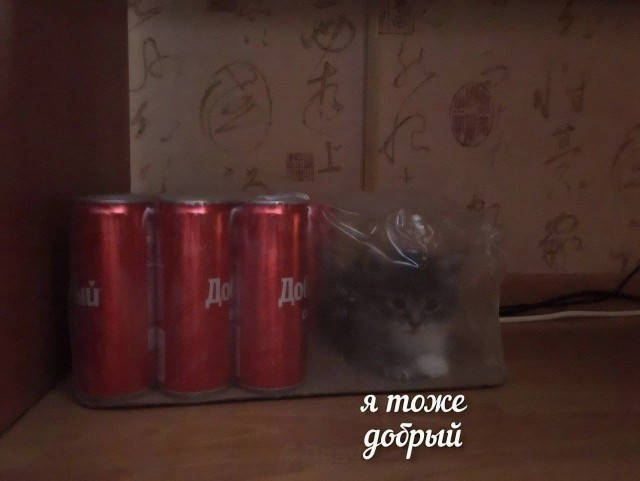 Так себе картинки 09.01.25
