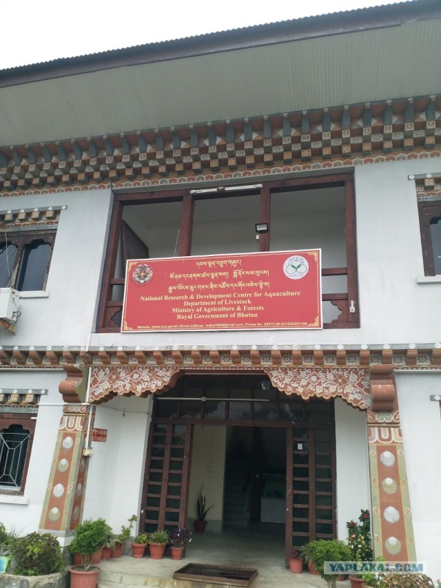 Бутан, таинственный Бутан