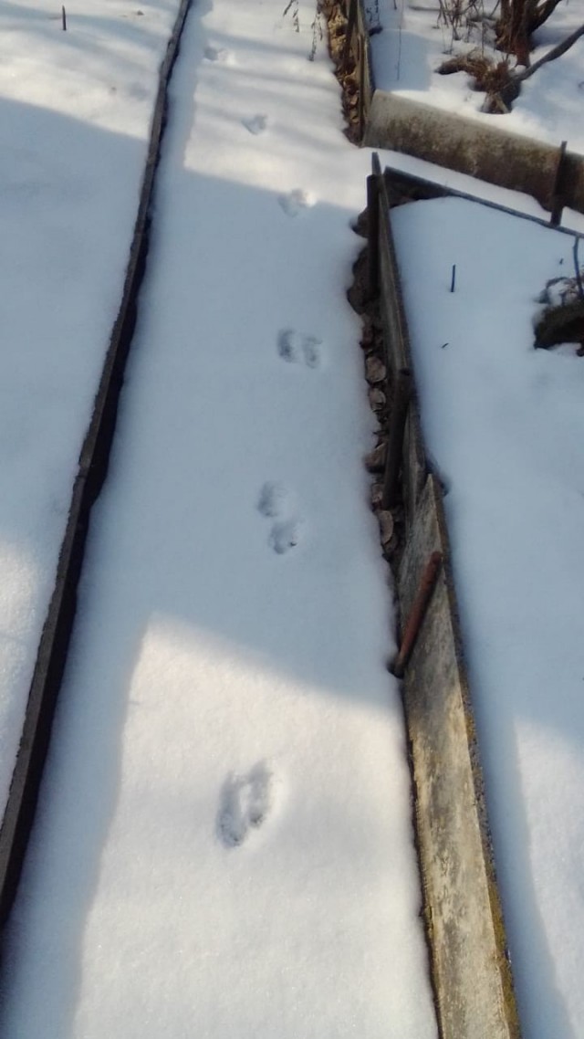 Вопрос к знатокам!