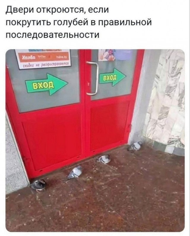 Картинки разные с надписями и без