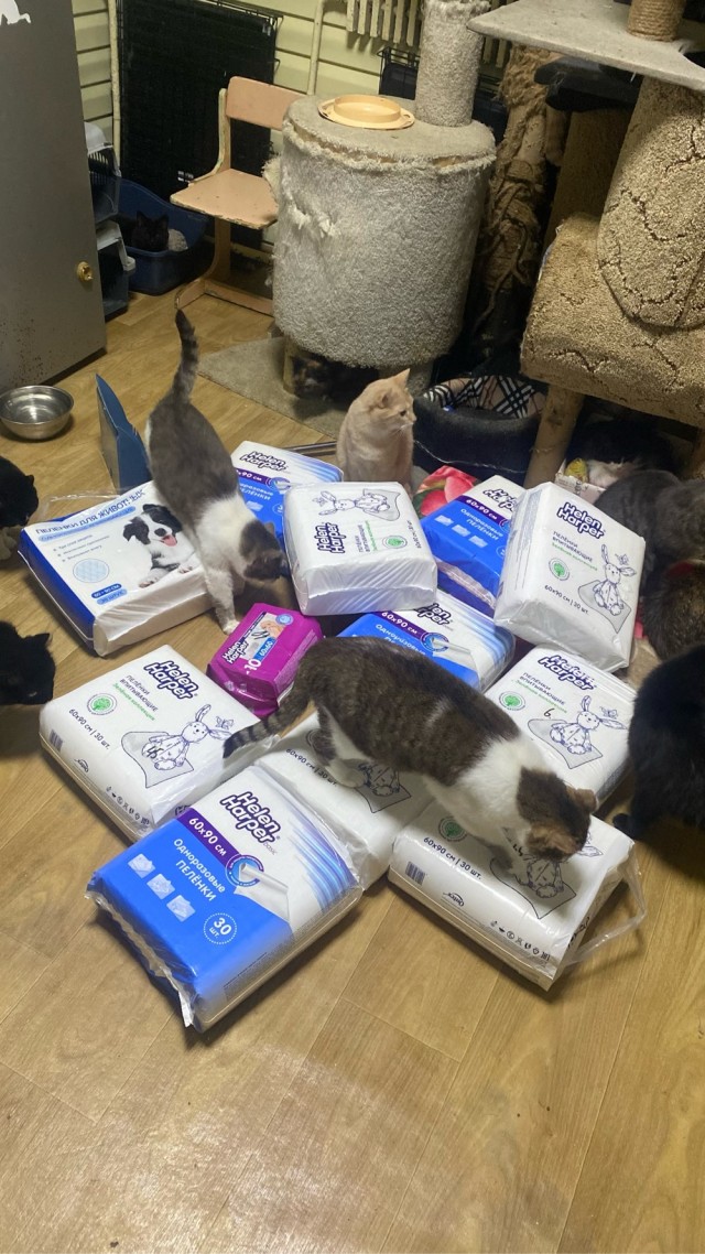 Спасибо, дорогие друзья!