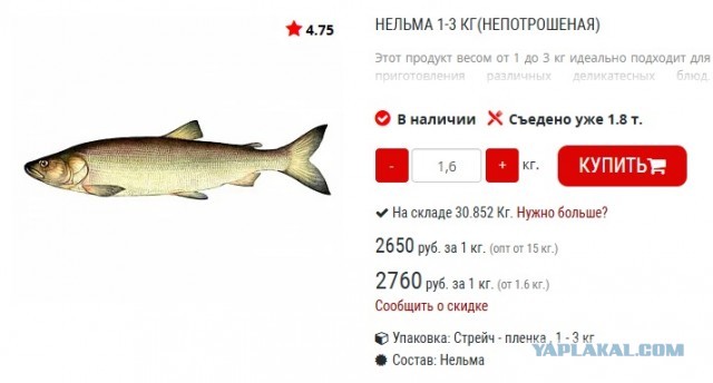 Архиерейская уха, которая перевернет ваш мир. Чем отличается от обычной и зачем монахи её придумали