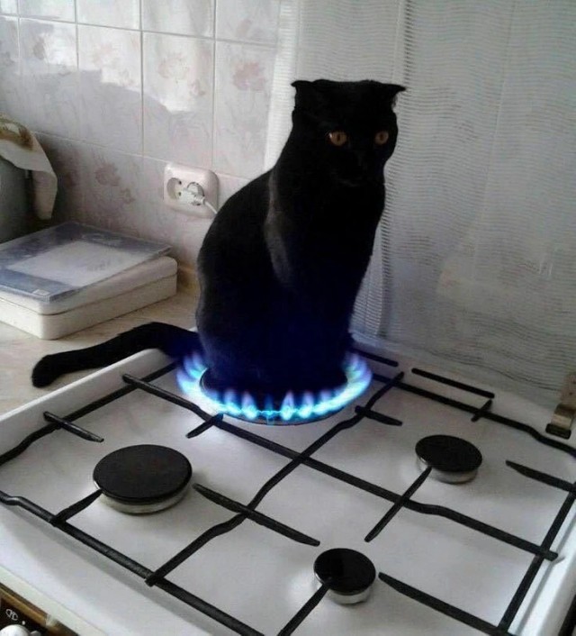 Прикольные и просто красивые картинки 13.05.2025