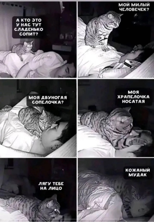 Юмор в картинках и без