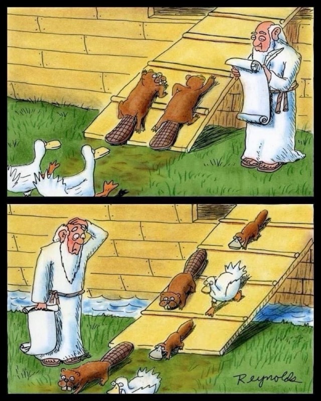 Ной⁠⁠