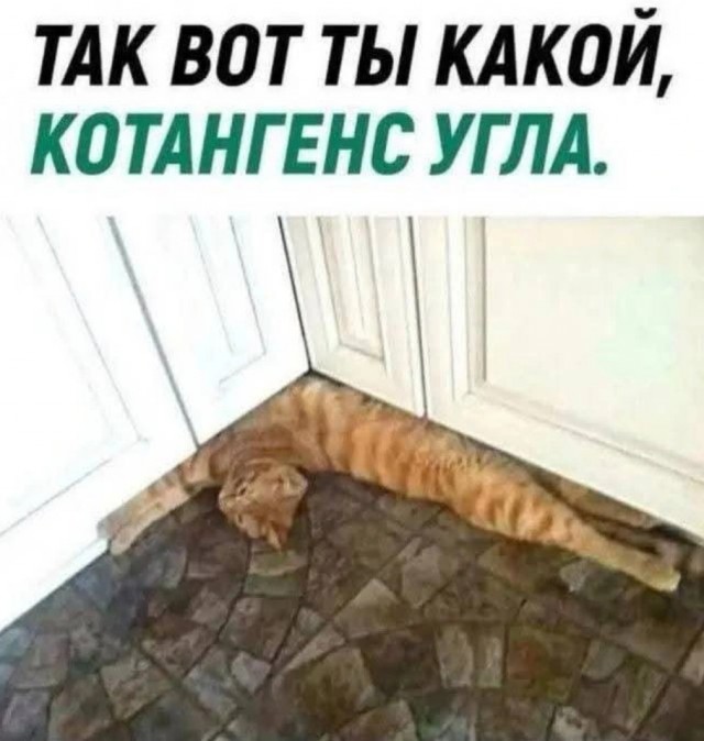 Завалялось тут случайно немного забавных картинок