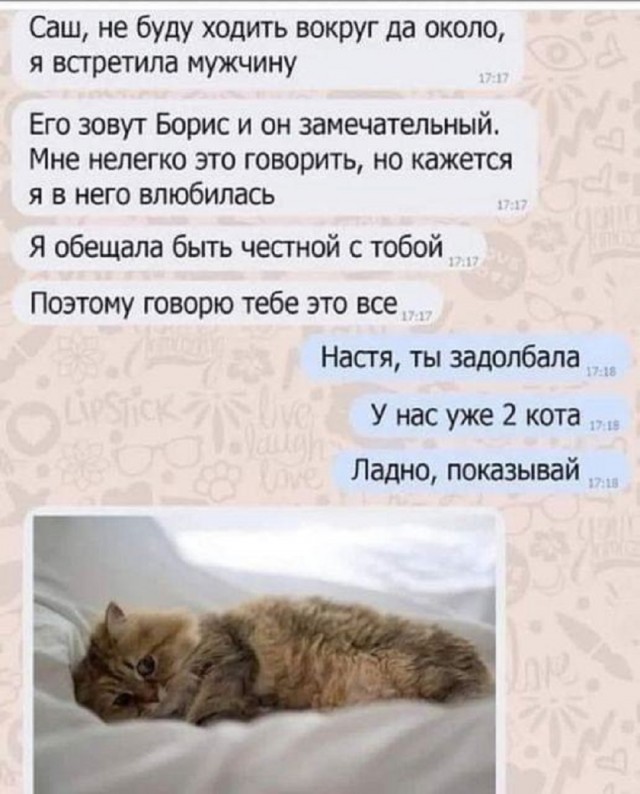 Так себе картинки 22.06.25