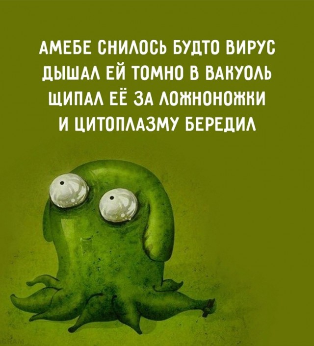 Картинки для деградации 9 (разной степени свежести)