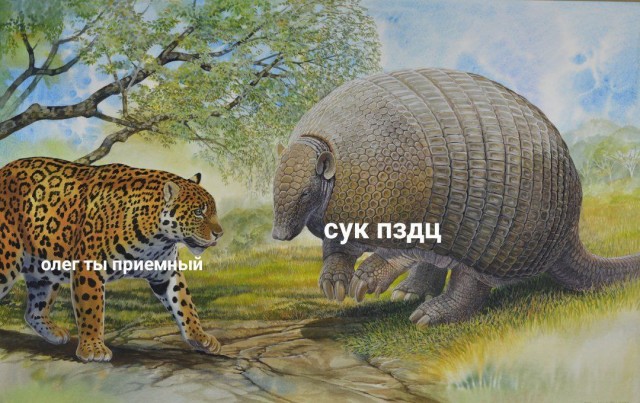 Веселое настроение в картинках 09.08.25