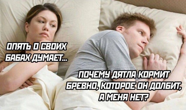 Веселые картинки в маленькую пятницу (27.08)