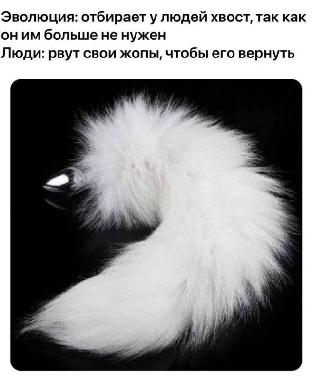 Забавные и не очень скромные картинки - 13