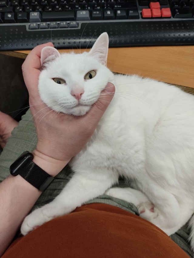 Подарок судьбы