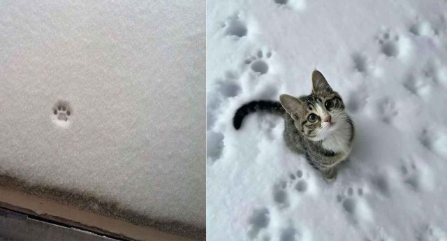 Сегодня за моим окном зима