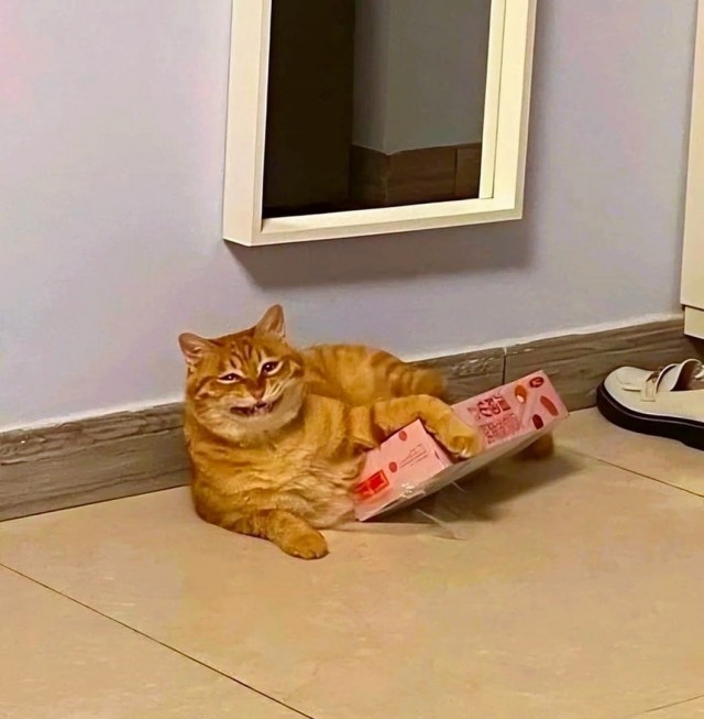 Котокоробковое