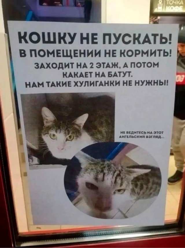Воскресные картинки