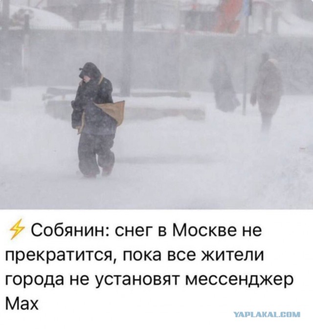Веселые картинки в пятницу