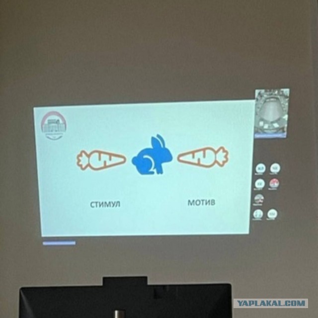 Картинки для деградации 137 (разной степени свежести)