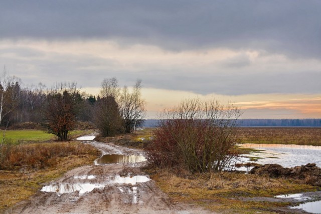 Начало весны в деревне