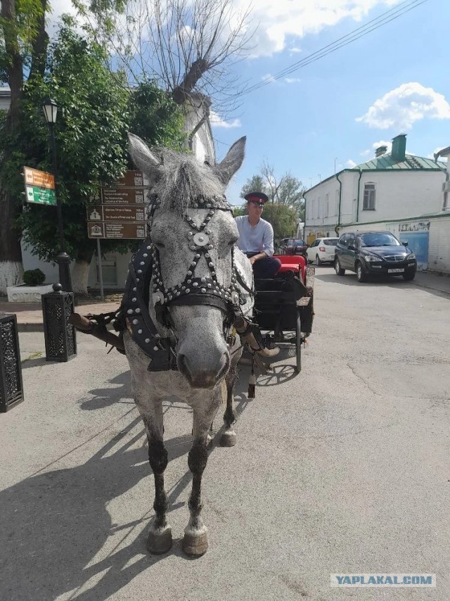 Не дать растаять Снегурчке. Нужна помощь всесильного Япа.