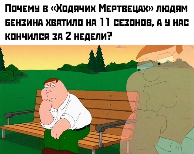 Картинки для деградации 239 (разной степени свежести)