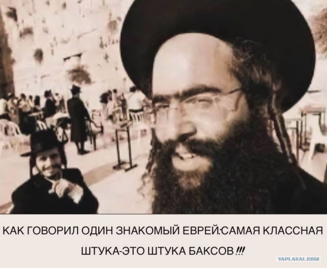 Веселые картинки в пятницу (21.08)