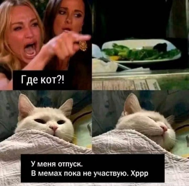 Субботние аккордеоны
