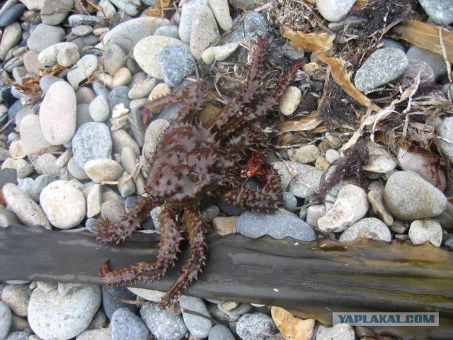 Малоизвестное Приморье.