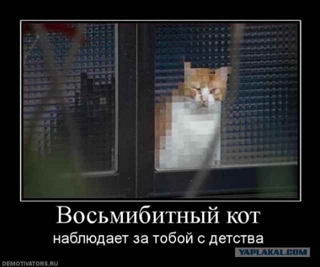У вас дома живет инопланетянка