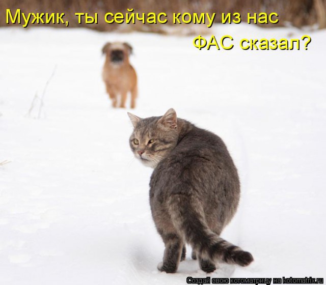 Дерзкие и брутальные