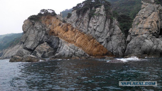 Природа Приморского края