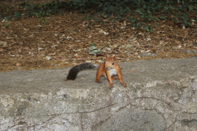 Отчёт о поездке в Крым 12.07 - 29.07