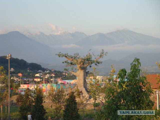 Адлер, лето 2014