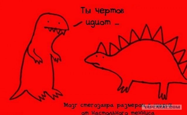 Забавные минифакты в картинках