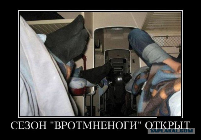 Верхняя полка блин .